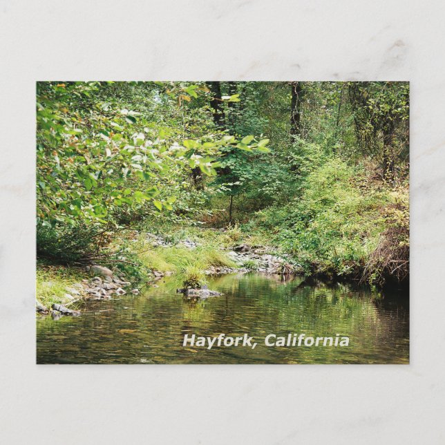 Cartão Postal Tranquilidade na floresta....... (Frente)