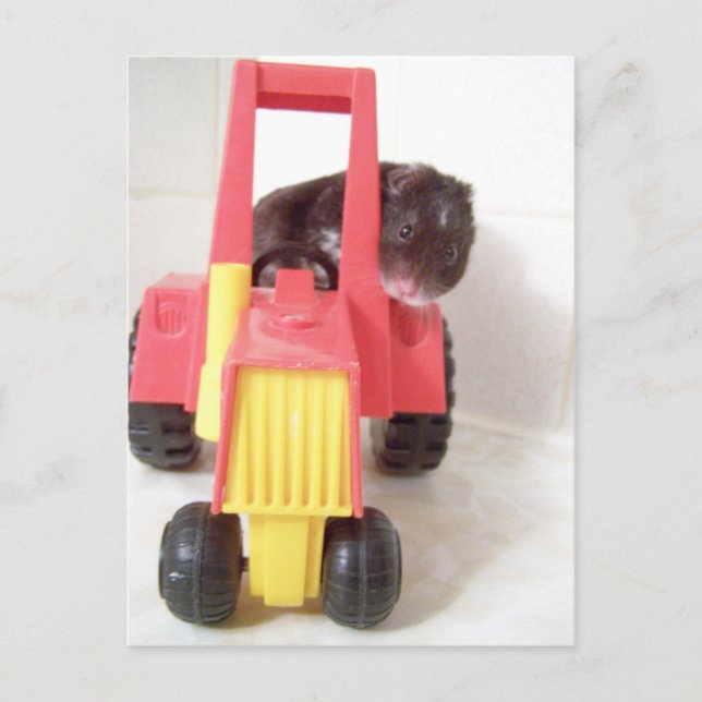 Cartão Postal trator dirigindo noah (Frente)