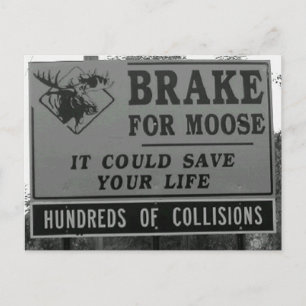 Cartão Postal Travão para Moose