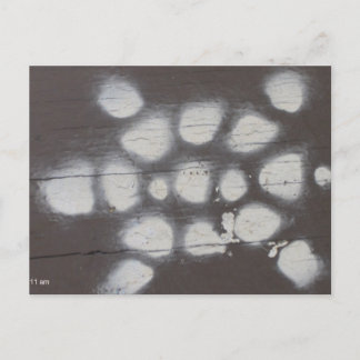 Cartão Postal travessia de tartaruga