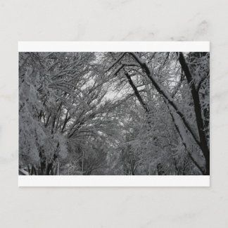 Cartão Postal "tree and snow", por Coressel Productions