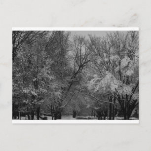 Cartão Postal "tree and snow", por Coressel Productions