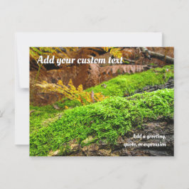Cartão Postal Tree Bark in Autumn Moss - Personalised