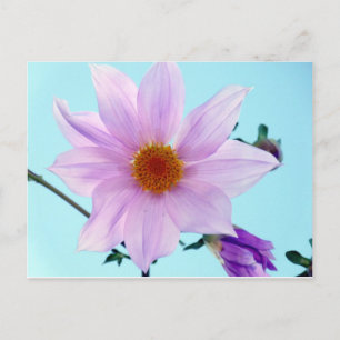 Cartão Postal Tree Dahlia