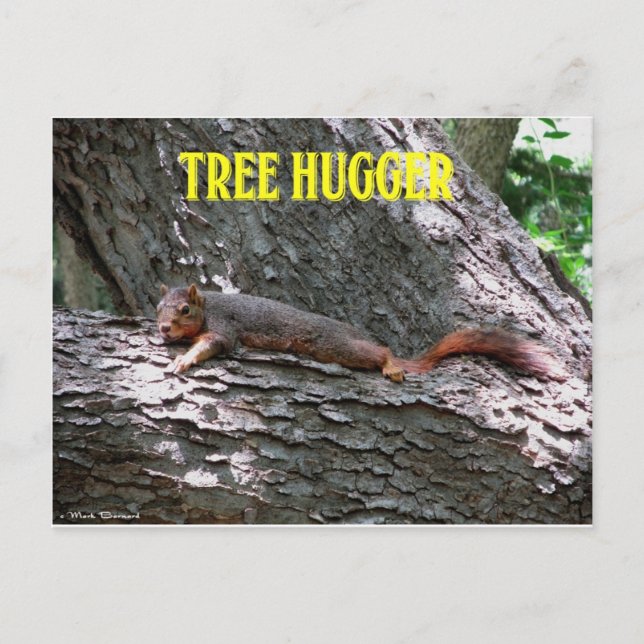 Cartão Postal Tree Hugger! (Frente)
