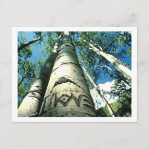 Cartão Postal Tree Love