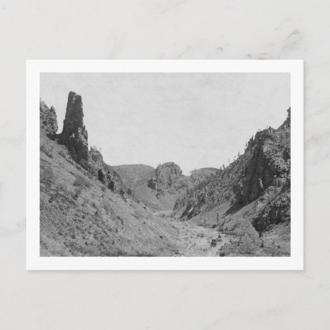 Cartão Postal Treinador desenhado em Cavalo em Fotografia Phanto (Frente)