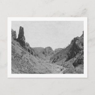 Cartão Postal Treinador desenhado em Cavalo em Fotografia Phanto