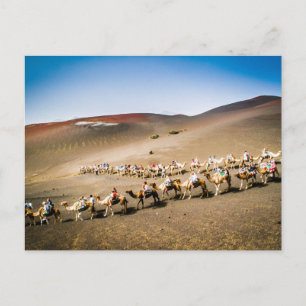 Cartão Postal Trem de Camelos em Lanzarote