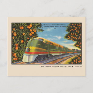 Cartão Postal Trem Especial de Flor de Laranja Vintage da Flórid