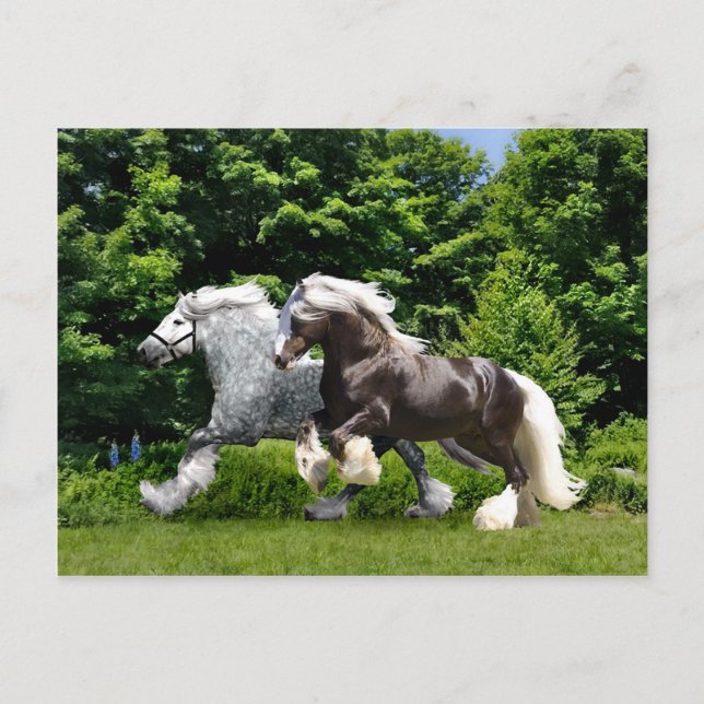 Cartão postal "Tremayne & Caspian" (Frente)