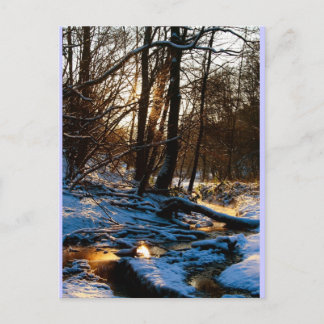 Cartão Postal Treppenbach