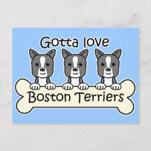 Cartão Postal Três Boston Terriers