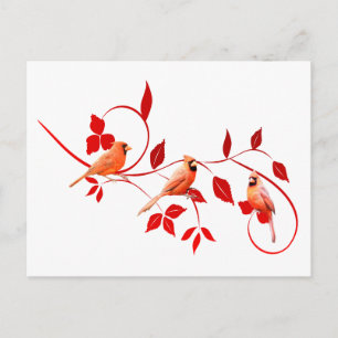 Cartão Postal Três Cardinhos