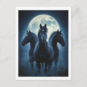 Cartão Postal Três Cavalos Lua