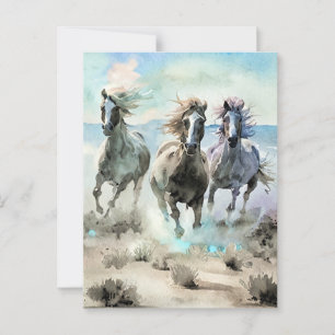 Cartão Postal Três Cavalos Selvagens Correm Através de uma Planí
