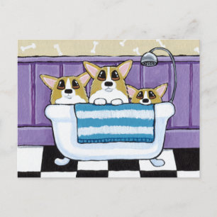 Cartão Postal Três Corgis na Banheira