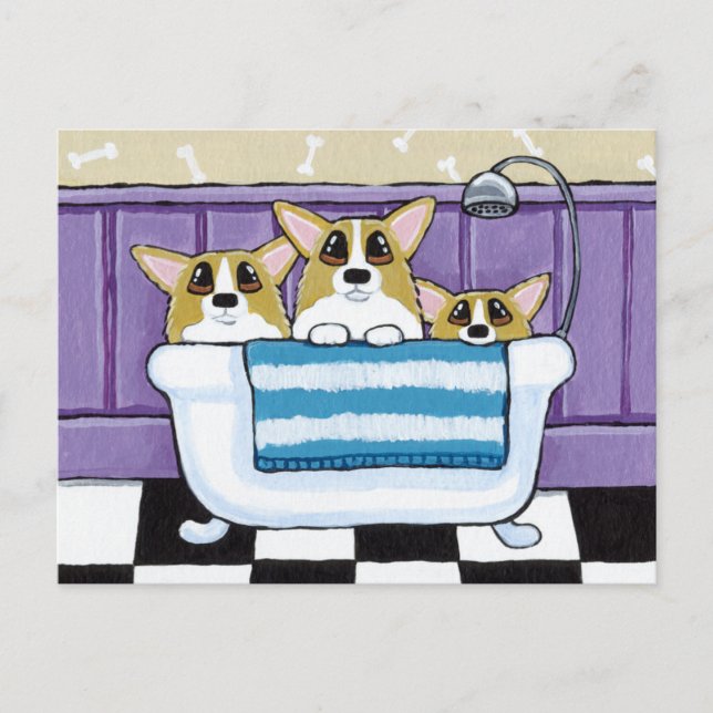 Cartão Postal Três Corgis na Banheira (Frente)