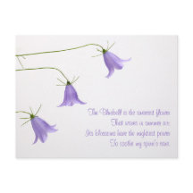 Três fotos de bluebeldes com um poema