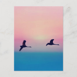 Cartão Postal Três Gansos Em Voo