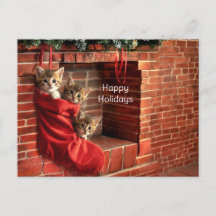Três gatinhos numa meia de Natal