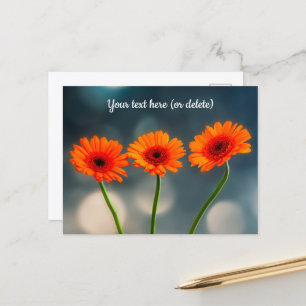Cartão postal Três Gerberas Laranja em uma Linha