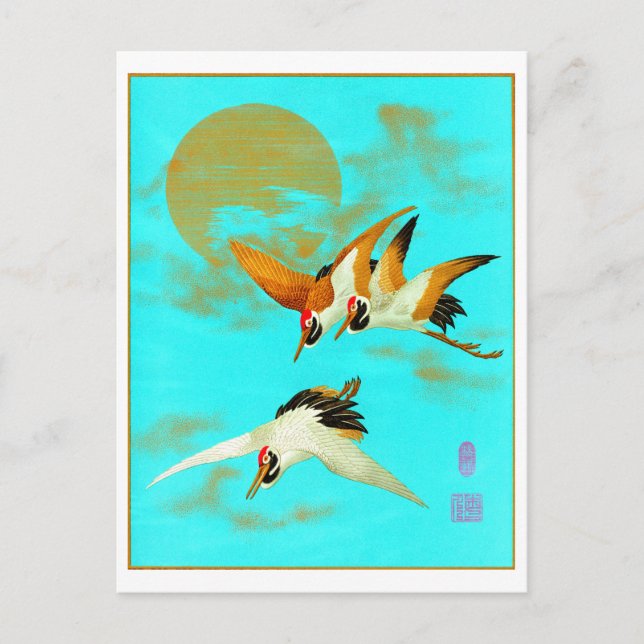 Cartão Postal Três guindastes sarus voando em frente à lua (Frente)
