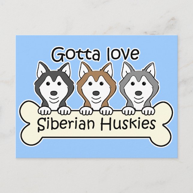 Cartão Postal Três Huskies siberianos (Frente)