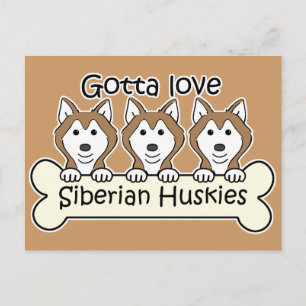 Cartão Postal Três Huskies Siberianos