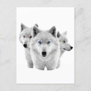 Cartão Postal Três Lobos Brancos