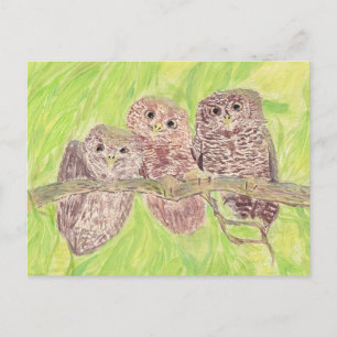 Cartão Postal Três Pequenas Corujas De Vassoura - pintura acrí