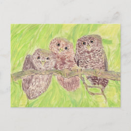 Cartão Postal Três Pequenas Corujas De Vassoura - pintura acríli