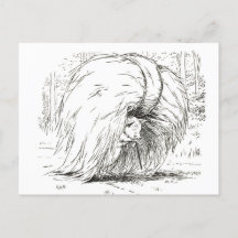 Três Pequenos Porcos: O Primeiro Cartão-Postal De 