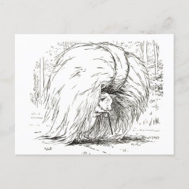 Cartão Postal Três Pequenos Porcos: O Primeiro Cartão-Postal De