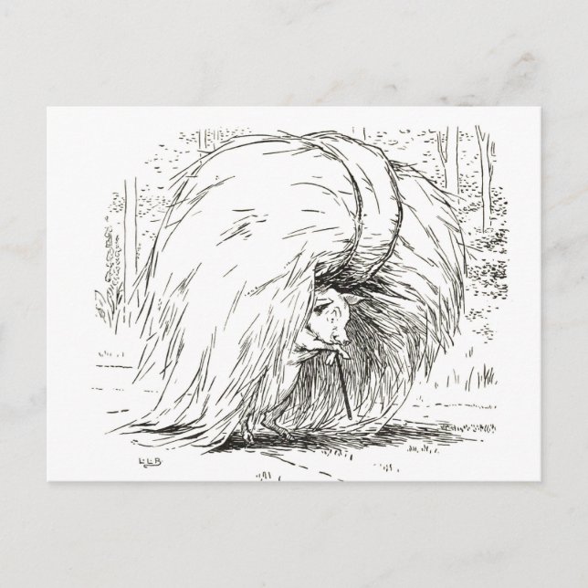 Cartão Postal Três Pequenos Porcos: O Primeiro Cartão-Postal De  (Frente)