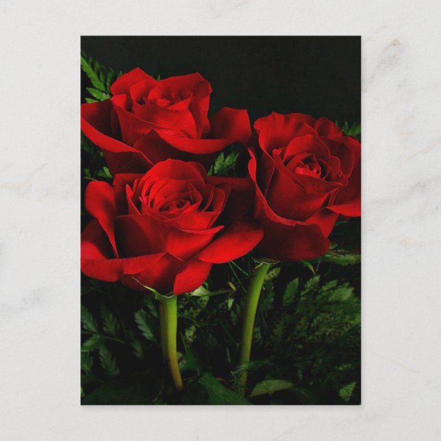 Cartão Postal Três Rosas (Frente)