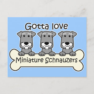 Cartão Postal Três Schnauzers Miniatura