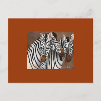 Cartão Postal Três Zebras
