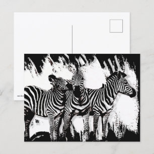 Cartão Postal Três Zebras Pintando