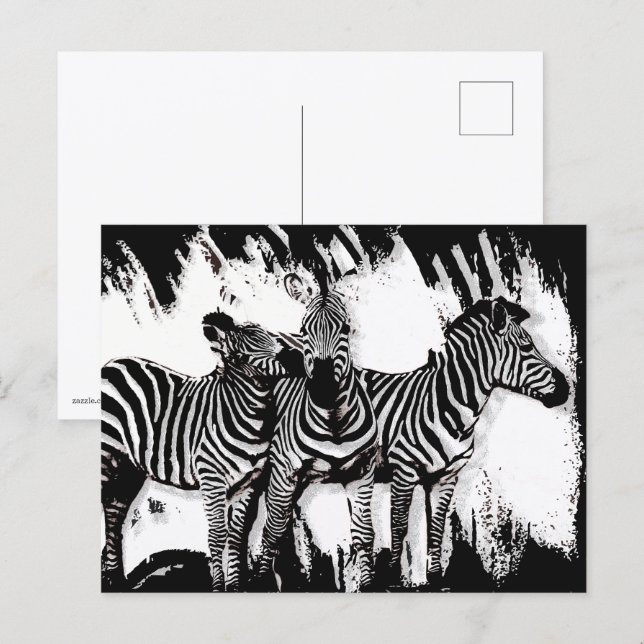 Cartão Postal Três Zebras Pintando (Frente/Verso)