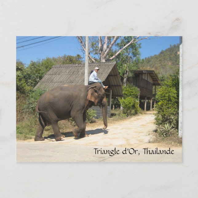 Cartão Postal Triângulo d'Or, Thailande (Frente)