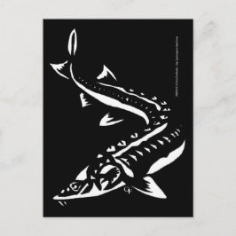 Cartão Postal Tribal1