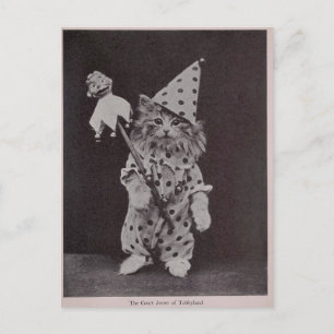 Cartão Postal Tribunal de Justiça de Tabbyland