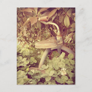 Cartão Postal Triciclo Antigo