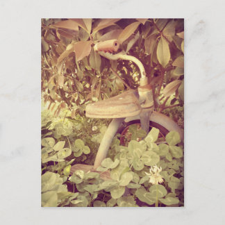 Cartão Postal Triciclo Antigo