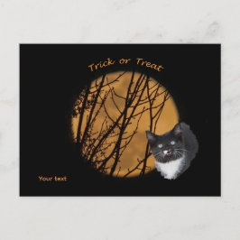 Cartão Postal Trick ou trate o gato e a lua negros do Halloween