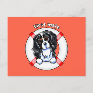Cartão Postal Tricolor Cavalier CKCS First Mate