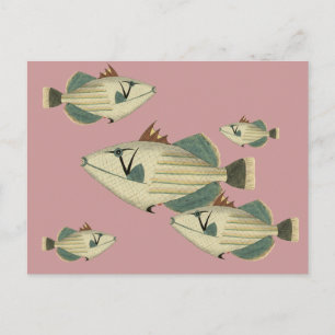 Cartão Postal Triggerfish