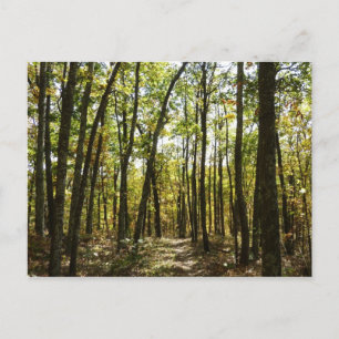 Cartão Postal Trilha Appalachian em outubro em Shenandoah