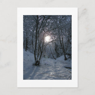 Cartão Postal Trilha da Floresta de Neve